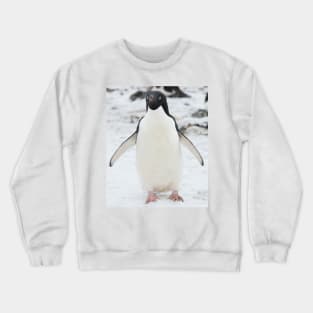 An Adelie penguin, from Antartica Crewneck Sweatshirt